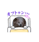 みゅうの動くスタンプ（個別スタンプ：7）