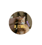 ねここの会話（個別スタンプ：2）