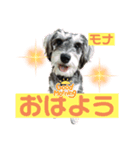 Okazaki Mona（個別スタンプ：1）