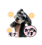 Okazaki Mona（個別スタンプ：3）