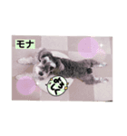 Okazaki Mona（個別スタンプ：7）