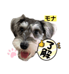 Okazaki Mona（個別スタンプ：8）