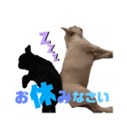 えび家スタンプ②（個別スタンプ：4）