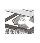 ランラン猫 63 (台湾版)（個別スタンプ：11）