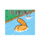 ランラン猫 63 (台湾版)（個別スタンプ：14）