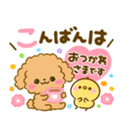 気持ち伝わる♡ふわもこトイプー（個別スタンプ：33）