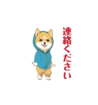 踊る犬1芝犬（個別スタンプ：4）