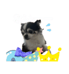 いい日ちゃむ（個別スタンプ：14）