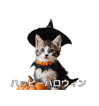 ハロウィンだ！子猫ミームで遊ぼう！（個別スタンプ：1）