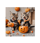 ハロウィンだ！子猫ミームで遊ぼう！（個別スタンプ：4）