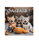 ハロウィンだ！子猫ミームで遊ぼう！（個別スタンプ：8）