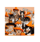 ハロウィンだ！子猫ミームで遊ぼう！（個別スタンプ：12）