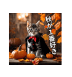 ハロウィンだ！子猫ミームで遊ぼう！（個別スタンプ：17）