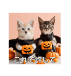 ハロウィンだ！子猫ミームで遊ぼう！（個別スタンプ：19）