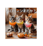 ハロウィンだ！子猫ミームで遊ぼう！（個別スタンプ：20）