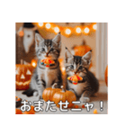 ハロウィンだ！子猫ミームで遊ぼう！（個別スタンプ：22）