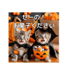 ハロウィンだ！子猫ミームで遊ぼう！（個別スタンプ：25）