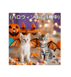 ハロウィンだ！子猫ミームで遊ぼう！（個別スタンプ：27）