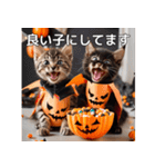 ハロウィンだ！子猫ミームで遊ぼう！（個別スタンプ：28）