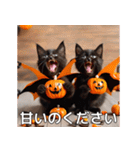 ハロウィンだ！子猫ミームで遊ぼう！（個別スタンプ：29）