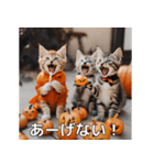 ハロウィンだ！子猫ミームで遊ぼう！（個別スタンプ：30）