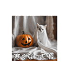 ハロウィンだ！子猫ミームで遊ぼう！（個別スタンプ：36）