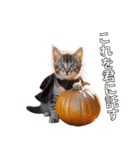 ハロウィンだ！子猫ミームで遊ぼう！（個別スタンプ：39）