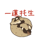 ちょっぴりふてぶてたぬき_日常編（個別スタンプ：32）