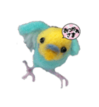 羊毛フェルトのインコちゃんの日常会話（個別スタンプ：1）