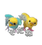 羊毛フェルトのインコちゃんの日常会話（個別スタンプ：9）