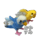 羊毛フェルトのインコちゃんの日常会話（個別スタンプ：16）