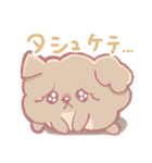 シュシュの毎日スタンプ（個別スタンプ：1）
