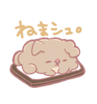 シュシュの毎日スタンプ（個別スタンプ：2）