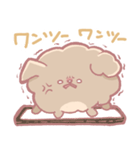 シュシュの毎日スタンプ（個別スタンプ：8）
