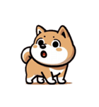 柴犬スタンプ(文字なしバージョン1)（個別スタンプ：1）