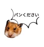 フェアリープリンセス☆その1（個別スタンプ：3）
