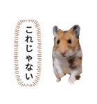 フェアリープリンセス☆その1（個別スタンプ：9）