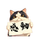 シュールな猫の訴え(デカ文字・煽り)（個別スタンプ：8）