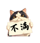 シュールな猫の訴え(デカ文字・煽り)（個別スタンプ：10）