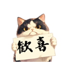 シュールな猫の訴え(デカ文字・煽り)（個別スタンプ：20）