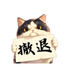 シュールな猫の訴え(デカ文字・煽り)（個別スタンプ：26）