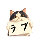 シュールな猫の訴え(デカ文字・煽り)（個別スタンプ：27）