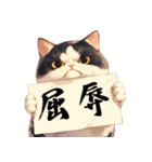 シュールな猫の訴え(デカ文字・煽り)（個別スタンプ：32）