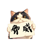 シュールな猫の訴え(デカ文字・煽り)（個別スタンプ：36）