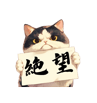 シュールな猫の訴え(デカ文字・煽り)（個別スタンプ：38）