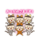 New Tomei Cats（個別スタンプ：1）