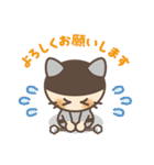 New Tomei Cats（個別スタンプ：10）