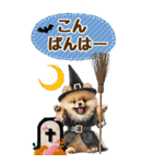 【BIG】ポメラニアンでハロウィン（個別スタンプ：20）