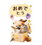 【BIG】ポメラニアンでハロウィン（個別スタンプ：32）