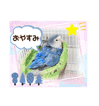 インコフレンズ1（個別スタンプ：2）